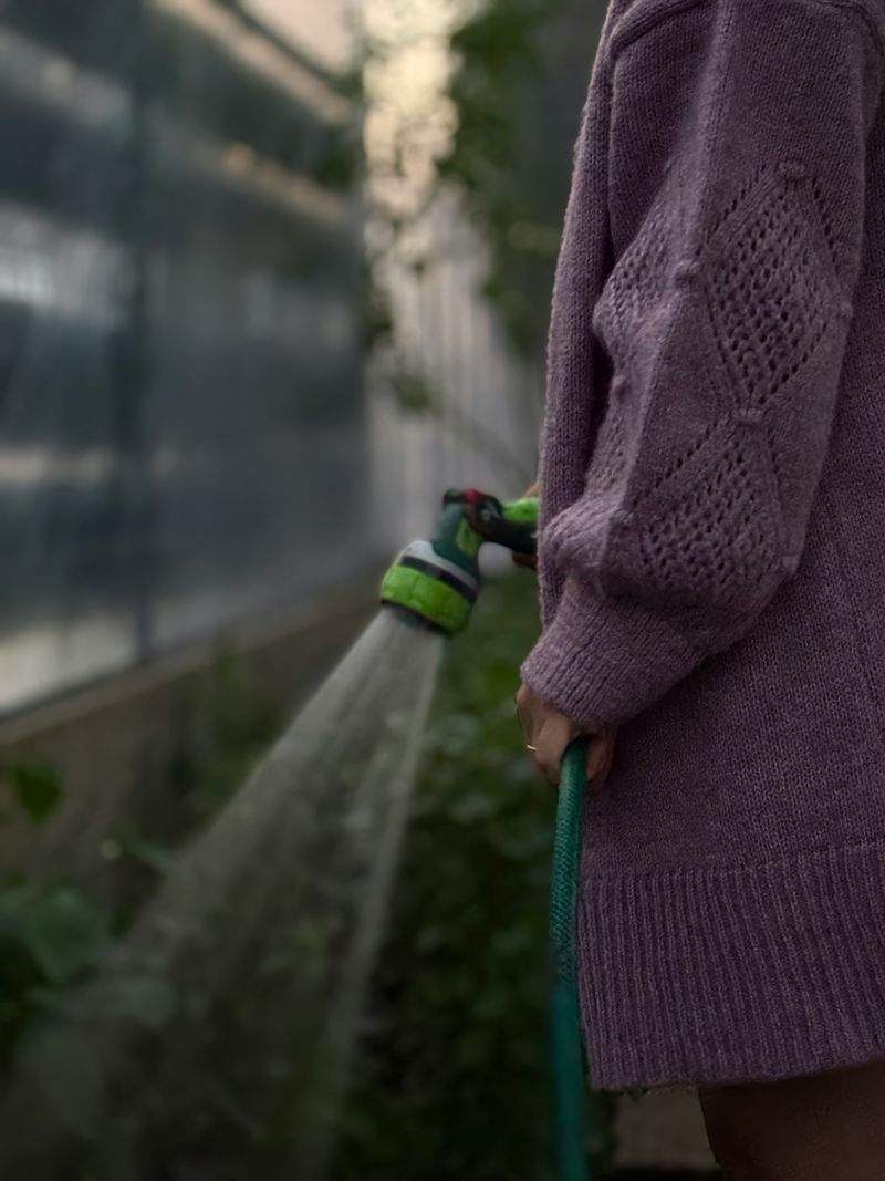 春の植栽準備で庭を整えるポイント